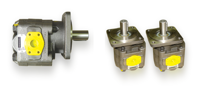 sap50